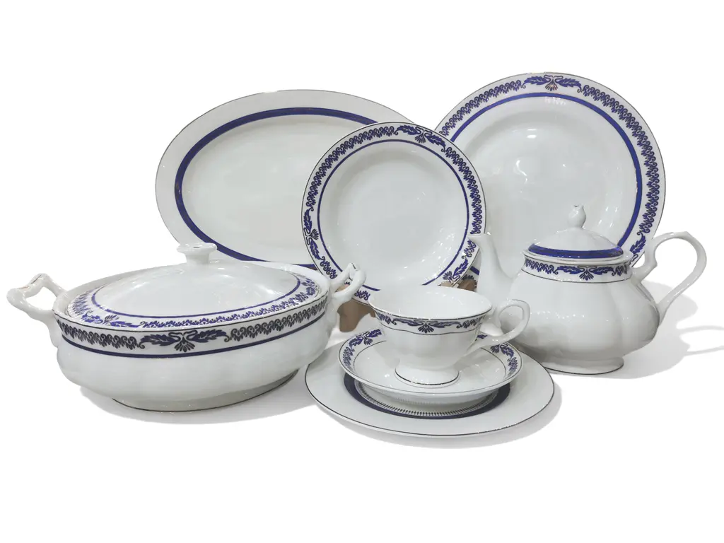 Dinner Set Bone China Elegant Style 61 pieces 8 person