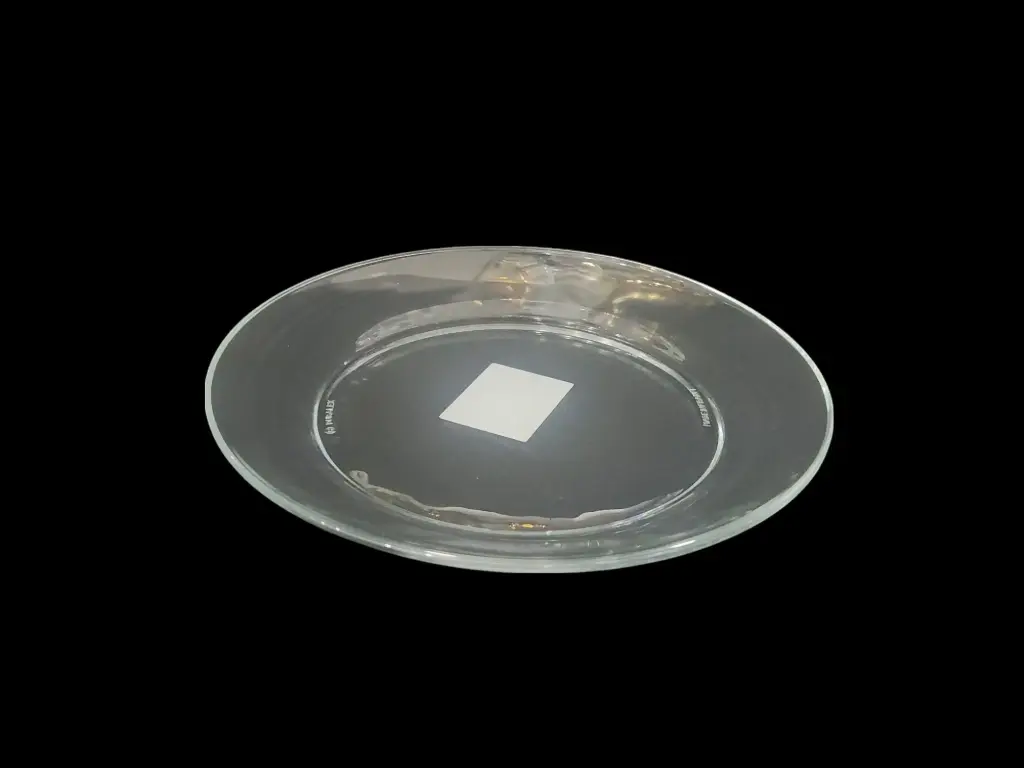 Dinner Plate Duralex  France