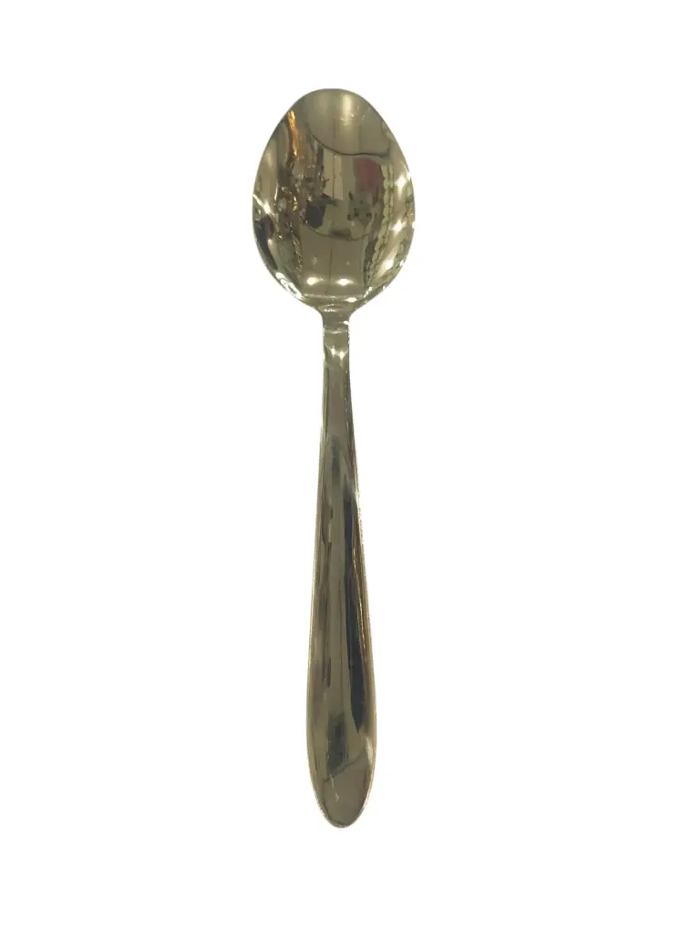 Salun Spoon 