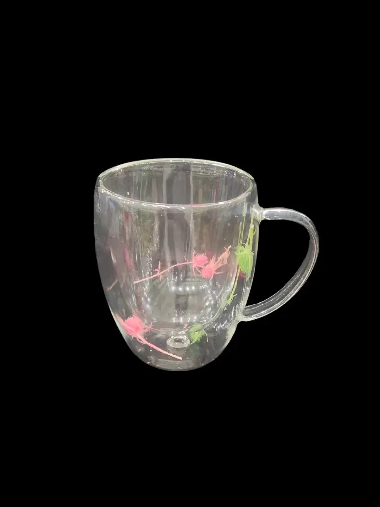 Double Wall Glass Mug
