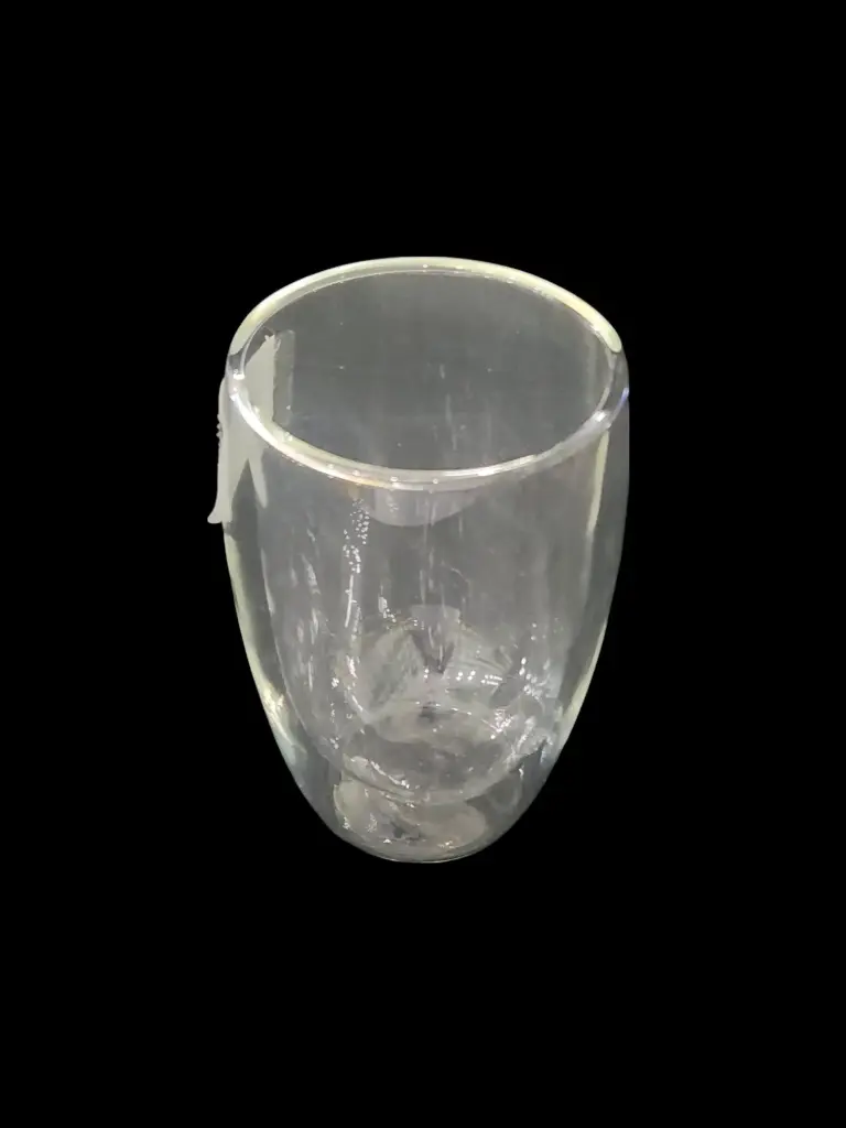 Double Wall Glass Mug