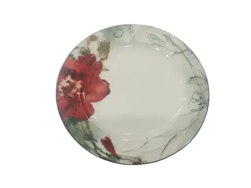 [2400] Dinner Plate Stoneware White house 