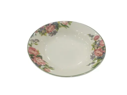 [2000] Dinner Plate Stoneware White house 