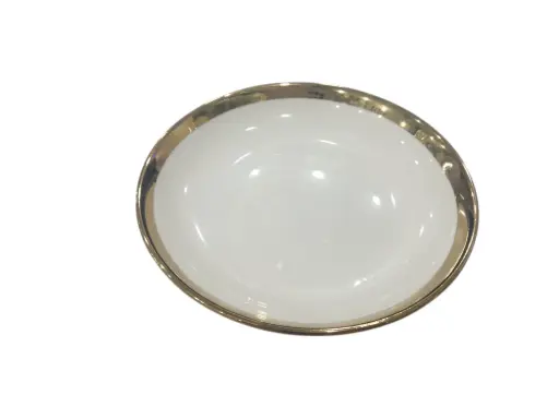[10/37] Dinner Plate Stoneware White house