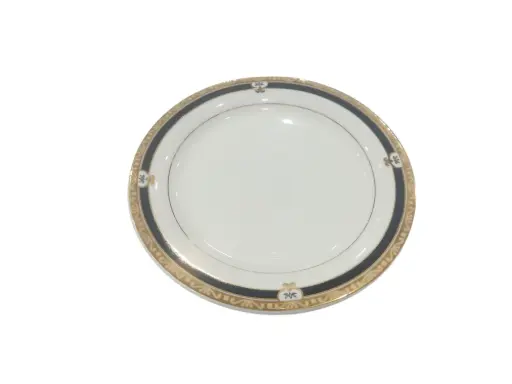 [550] Dinner Plate Bone China 