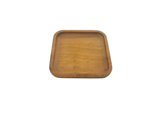 [14/5065247] Serving Snake Tray 