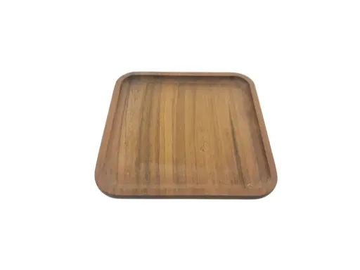 [18/5905247] Serving Snake Tray