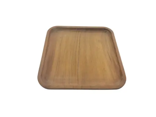 [20/6805247] Serving Snake Tray