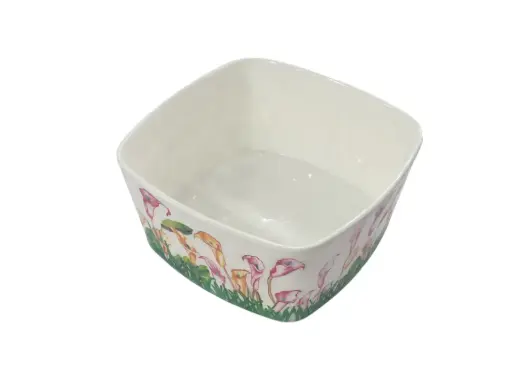 Melamine Bowl