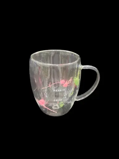 Double Wall Glass Mug