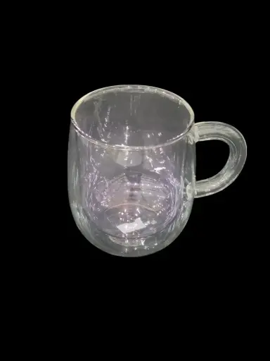 Double Wall Glass Mug  