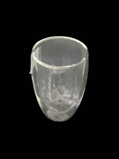 Double Wall Glass Mug