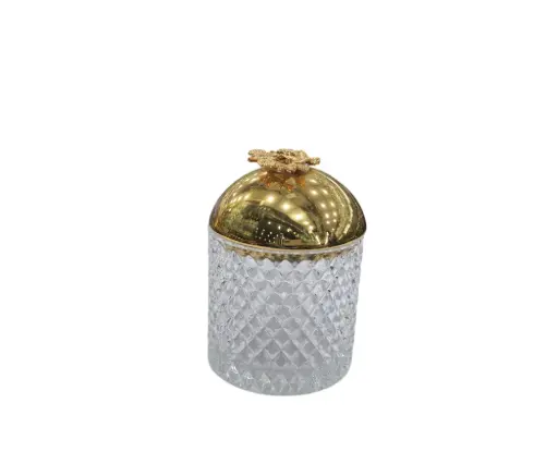 [50/2105825] Jam Pot Orchid