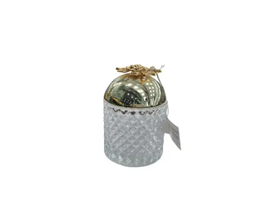 [40/1705824-] Jam Pot Orchid