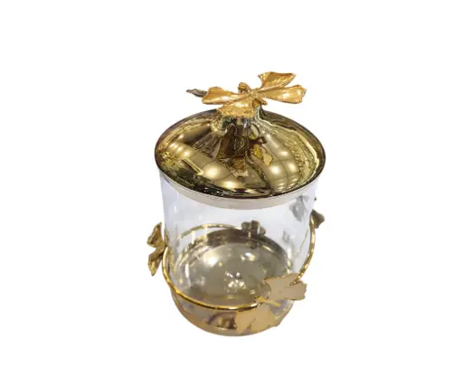 [38/160795L] Jam Pot Orchid