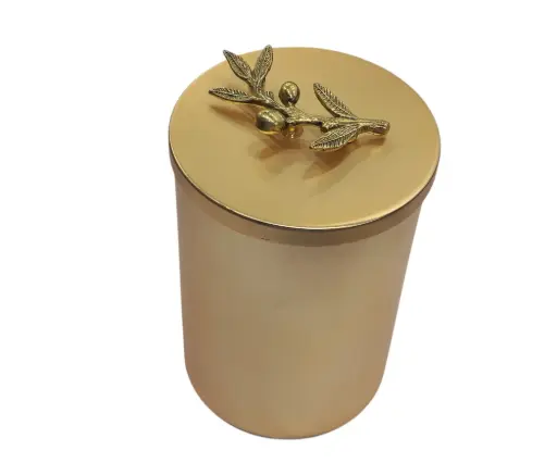 [55/21010829] Jam Pot Orchid